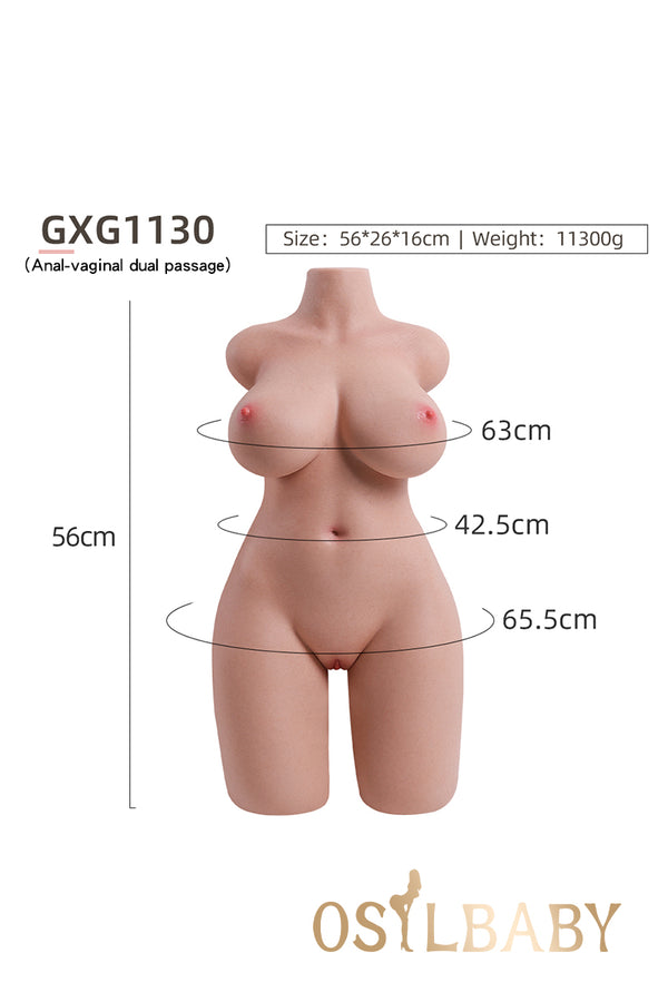 56cm (22.05”) Silicone Sex Doll half Torso, skeleton, In Stock, GXG1130