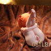 场景 (12) Nya Orange - 1.52kg Cute Cat Ear Mini Platinum Silicone Doll